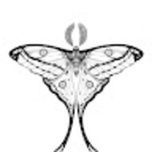 Meet your Posher, Alexa